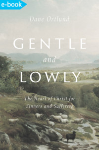 Gentle and lowly : the heart of Christ for sinners and sufferers