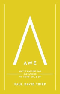 Awe: Why it matters for everything we think, say, & do