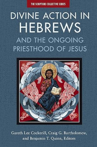 Divine Action in Hebrews and the Ongoing Priesthood of Jesus