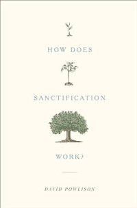 How does Sanctification work?