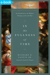 In the fullness of time : an introduction to the biblical theology of Acts and Paul