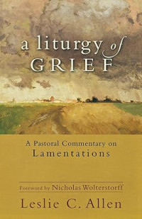 Liturgy of Grief, A : a Pastoral Commentary on Lamentations