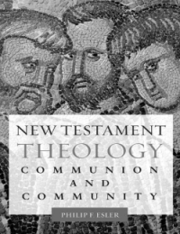 New Testament theology : communion and community