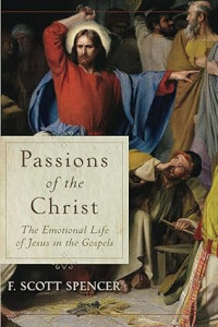Passions of the Christ : The Emotional Life of Jesus in the Gospels