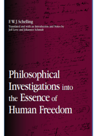 Philosophical investigations into the essence of human freedom