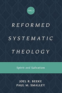 Reformed Systematic Theology: Volume 3: Spirit and Salvation