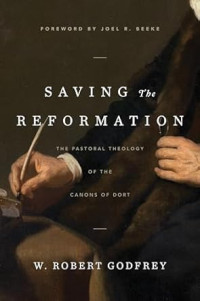 Saving the Reformation : The Pastoral Theology of the Canons of Dort