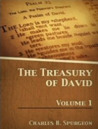 The treasury of David