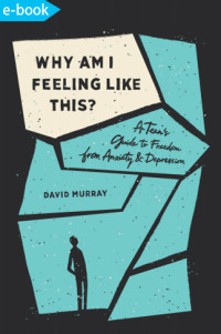 Why am I feeling like this? : a teen’s guide to freedom from anxiety and depression