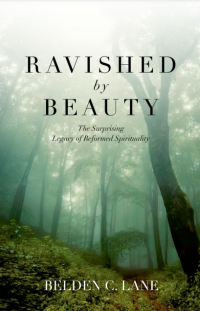 Ravished by Beauty: The Surprising Legacy of Reformed Spirituality